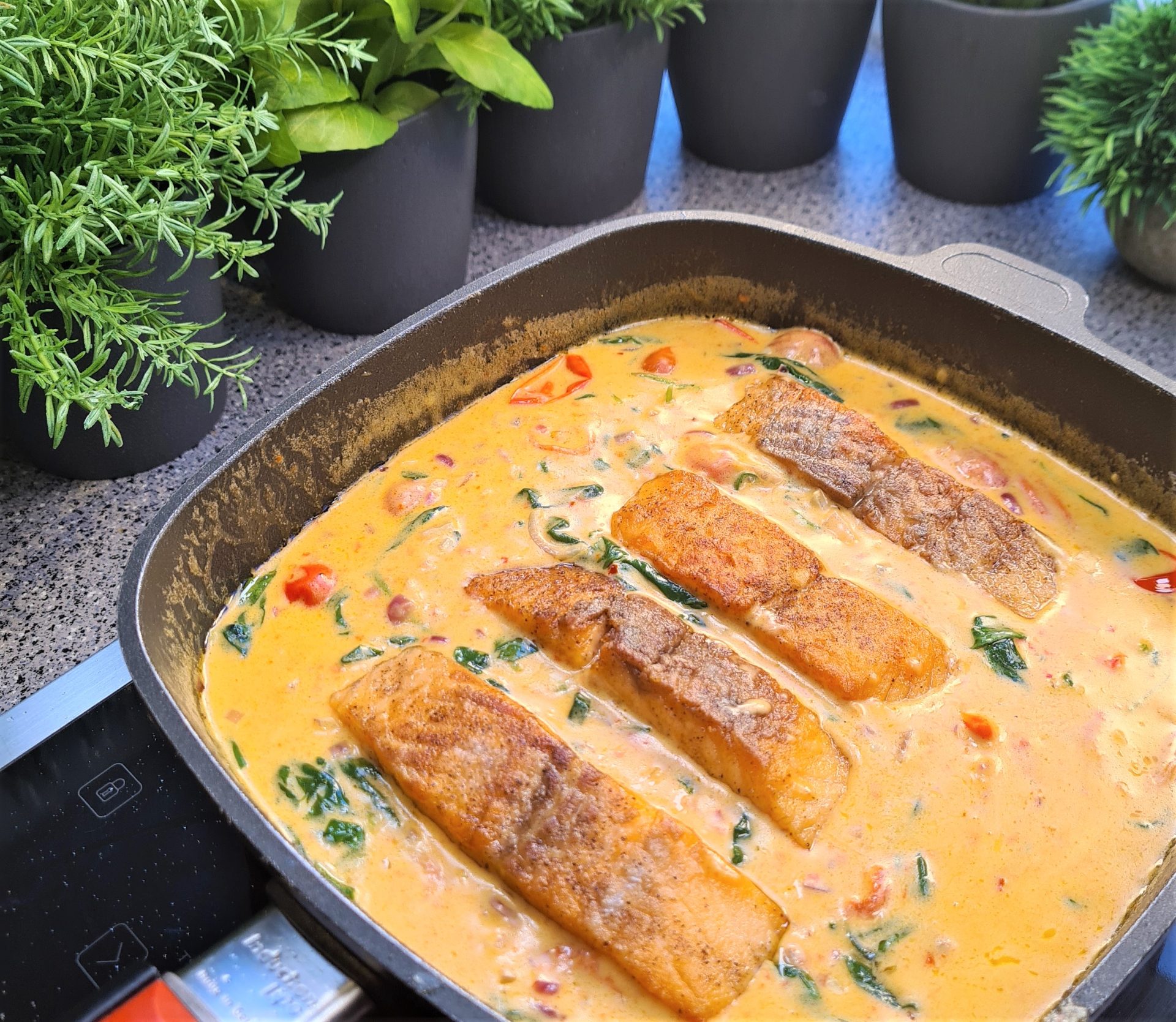 Lachs in Parmesan Sahne Sauce mit Spinat 🥬 und Tomaten 🍅 - KochMalSchnell